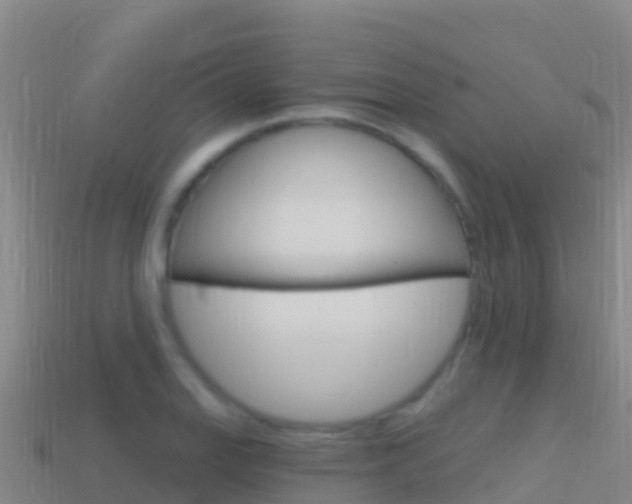 X0000114631127200910201016