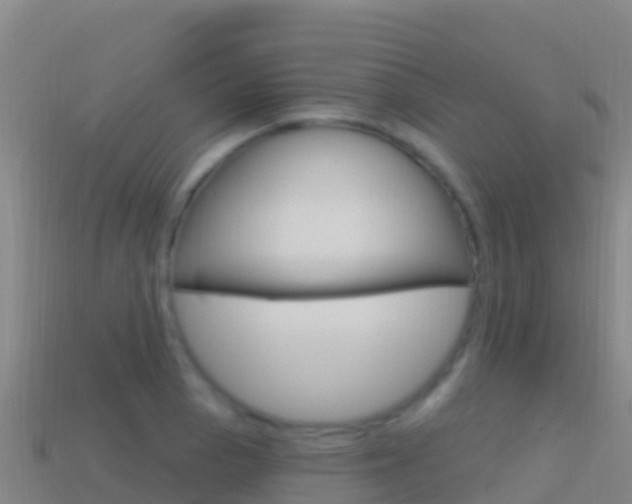 X0000114631129200910201016