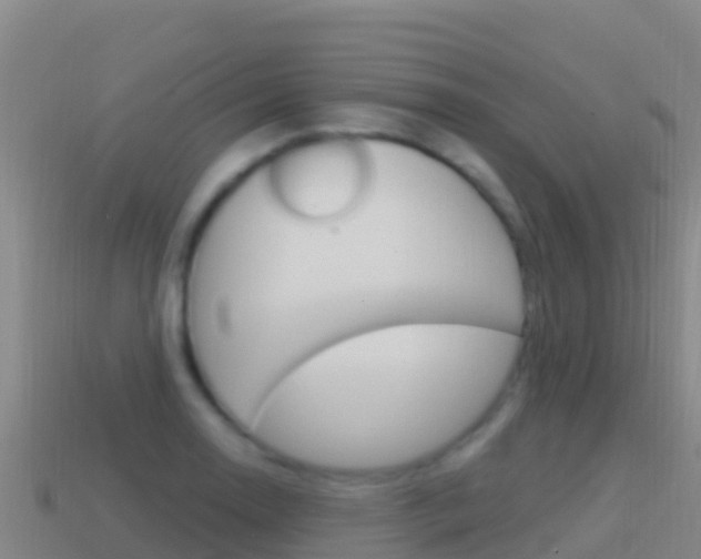X0000114631130200910201016