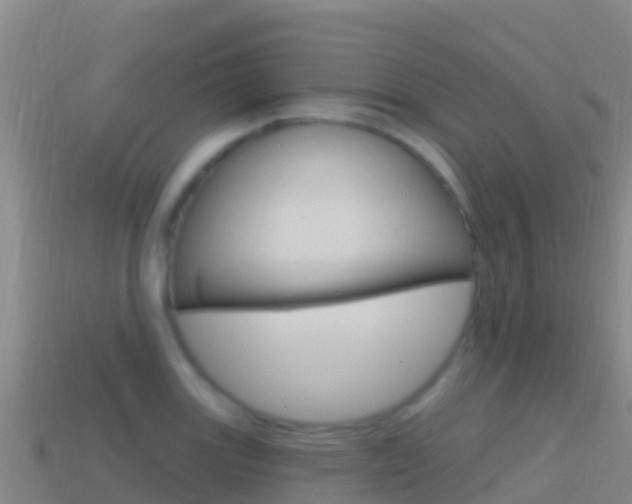 X0000114631131200910201016