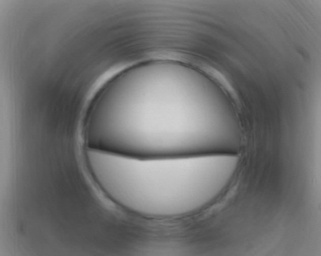 X0000114631133200910201016