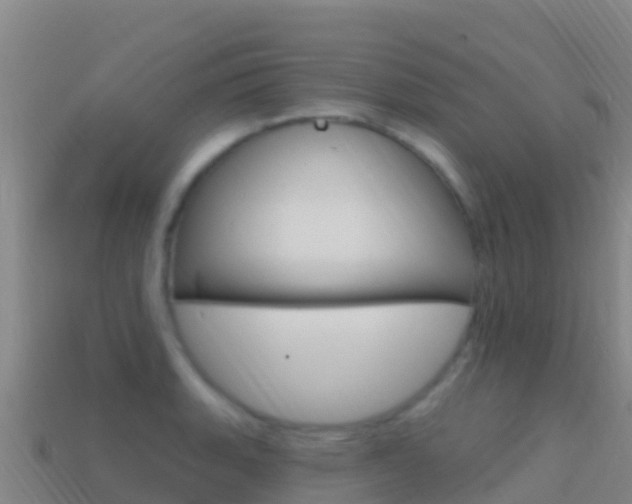X0000114631135200910201016