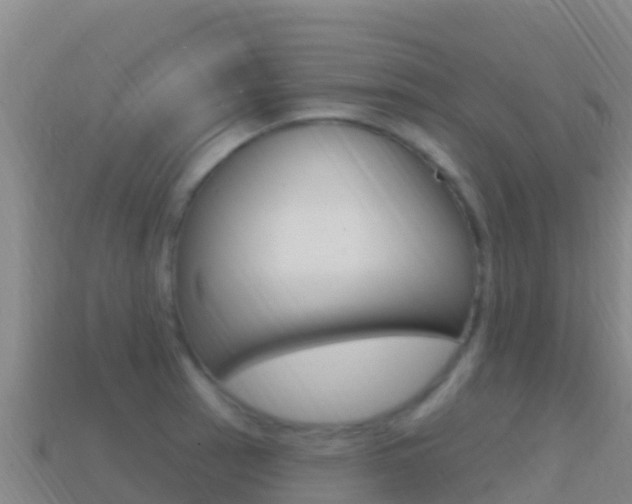 X0000114631137200910201016