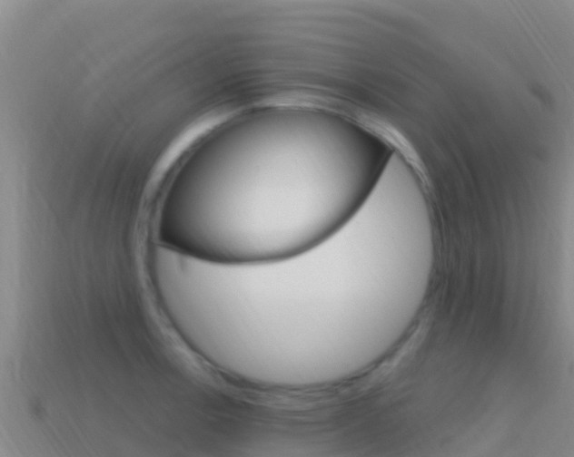 X0000114631138200910201016