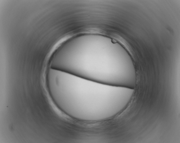 X0000114631139200910201016