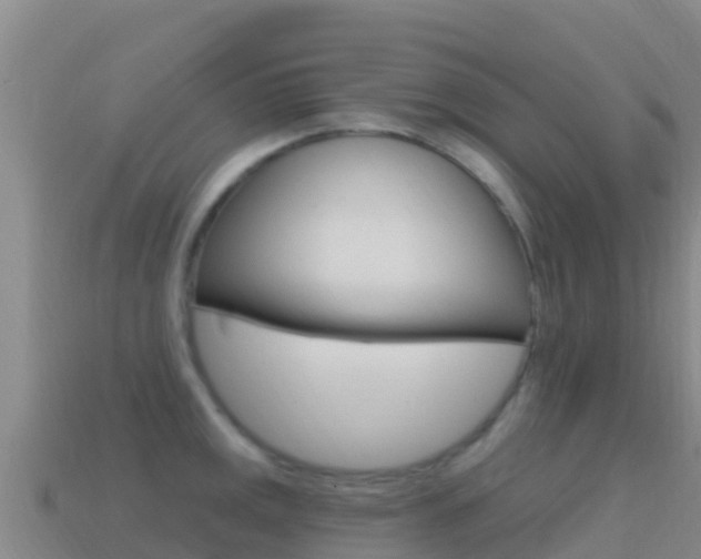 X0000114631141200910201017