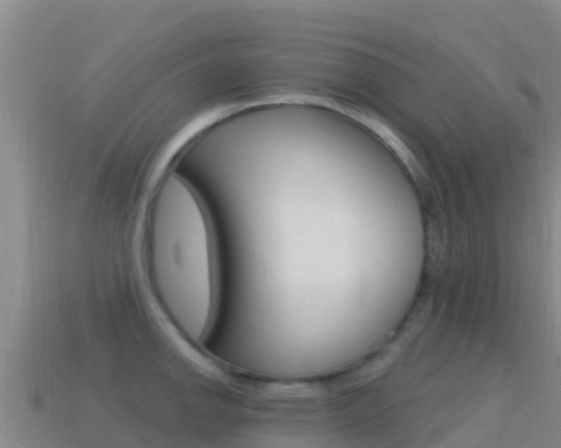 X0000114631142200910201017