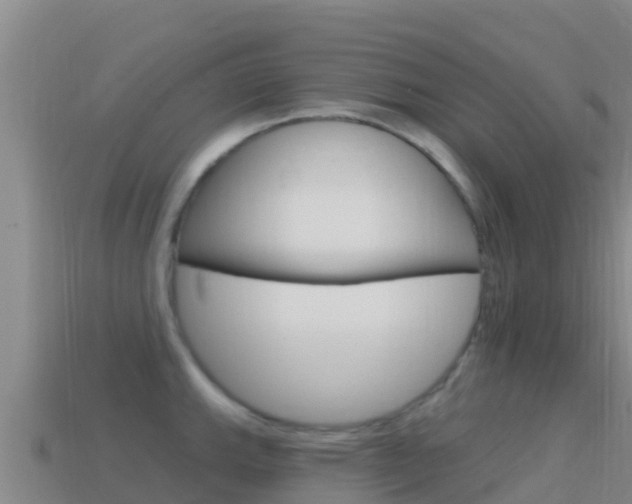 X0000114631143200910201017