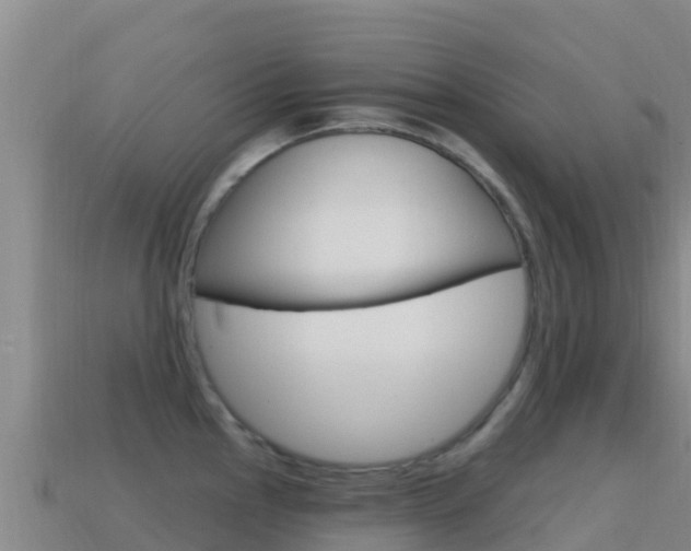 X0000114631145200910201017