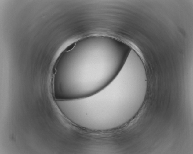 X0000114631146200910201017
