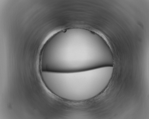 X0000114631147200910201017