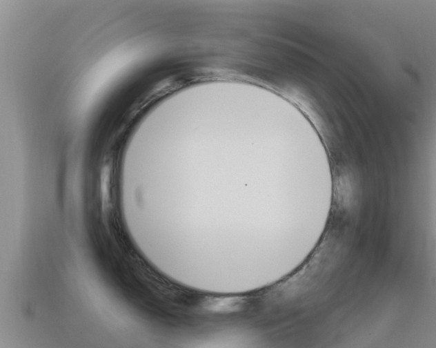 X0000114631150200910201017