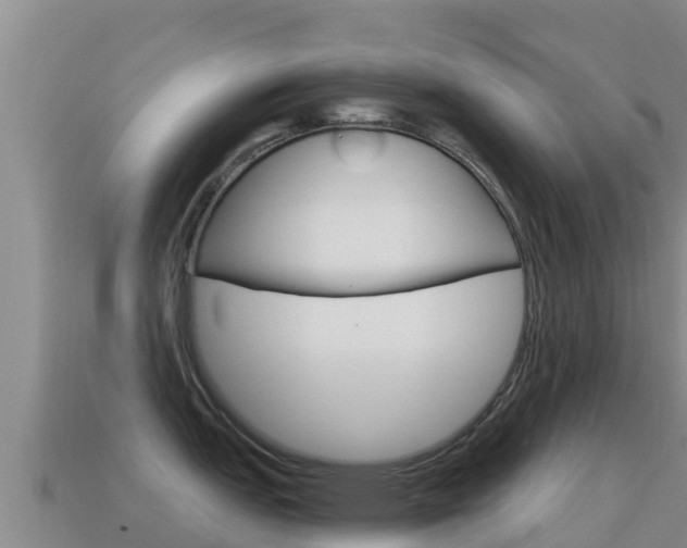 X0000114631151200910201017