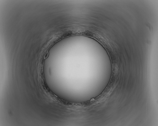 X0000114631153200910201016