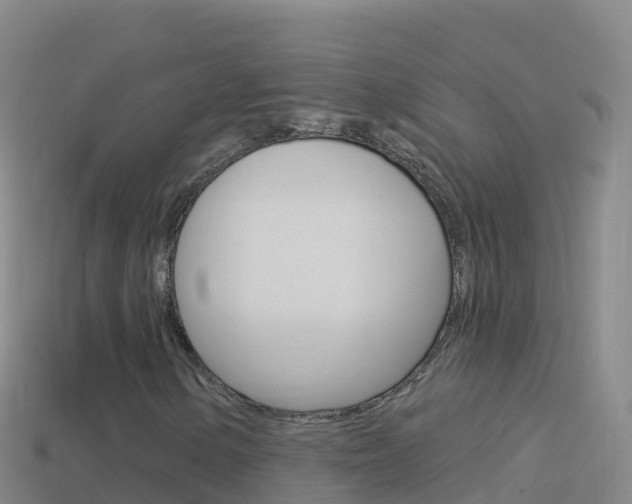 X0000114631154200910201016