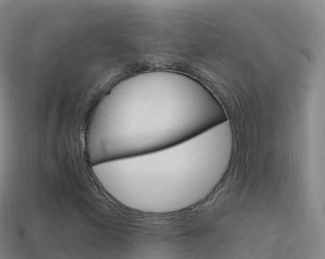X0000114631155200910201016