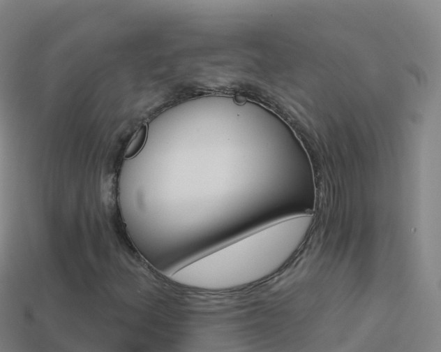 X0000114631156200910201016
