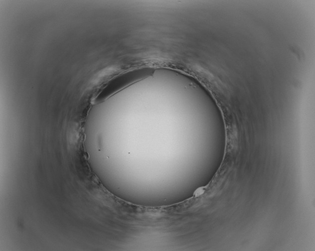 X0000114631157200910201016