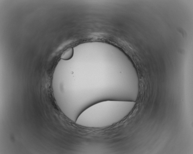 X0000114631158200910201016