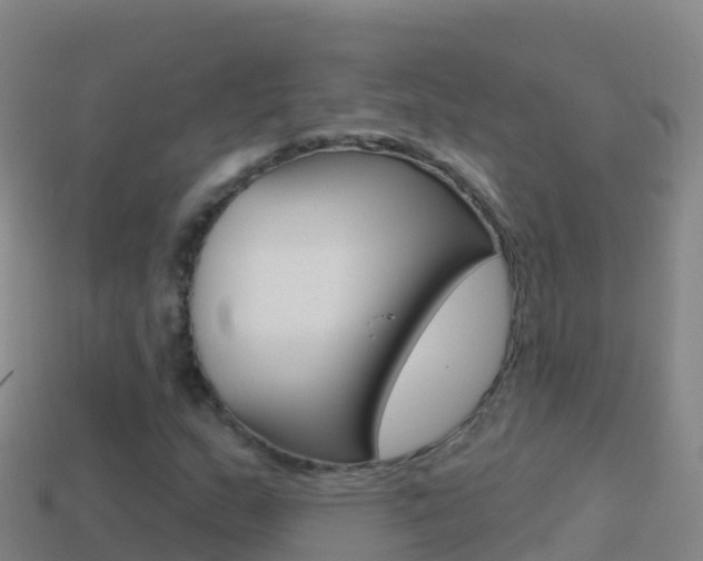 X0000114631159200910201016