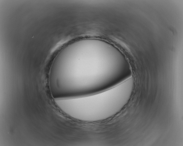 X0000114631160200910201016