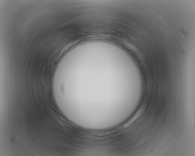 X0000114631161200910201016