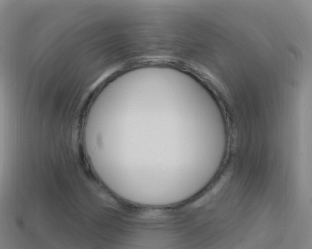 X0000114631162200910201016