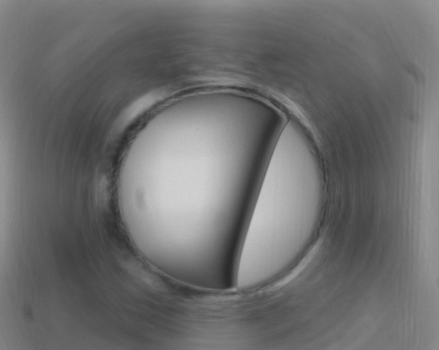 X0000114631163200910201016