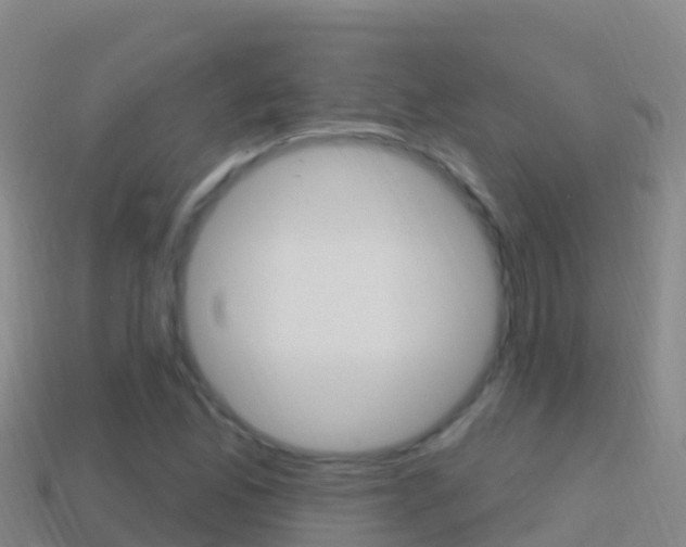 X0000114631165200910201016