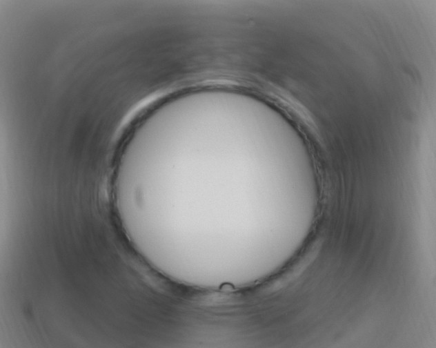 X0000114631166200910201016