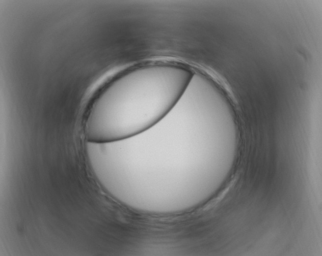 X0000114631167200910201016