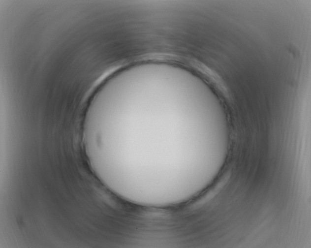 X0000114631170200910201016