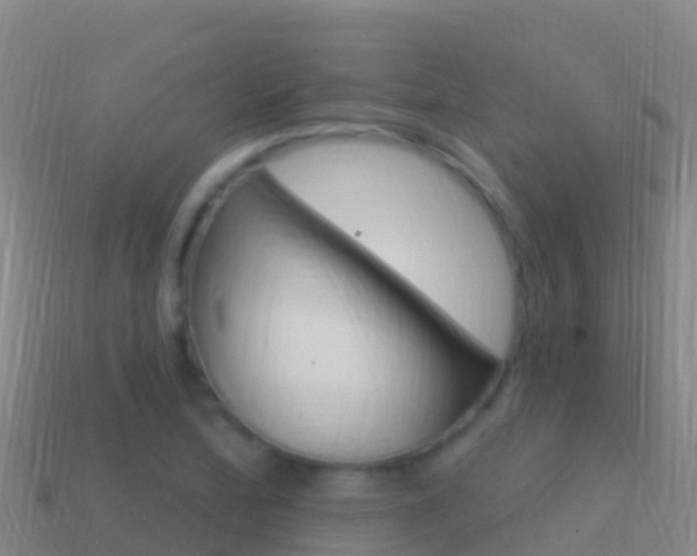 X0000114631172200910201016