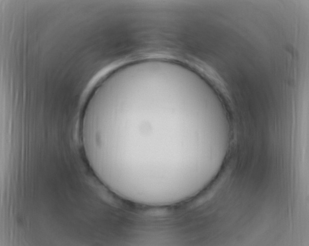 X0000114631174200910201016
