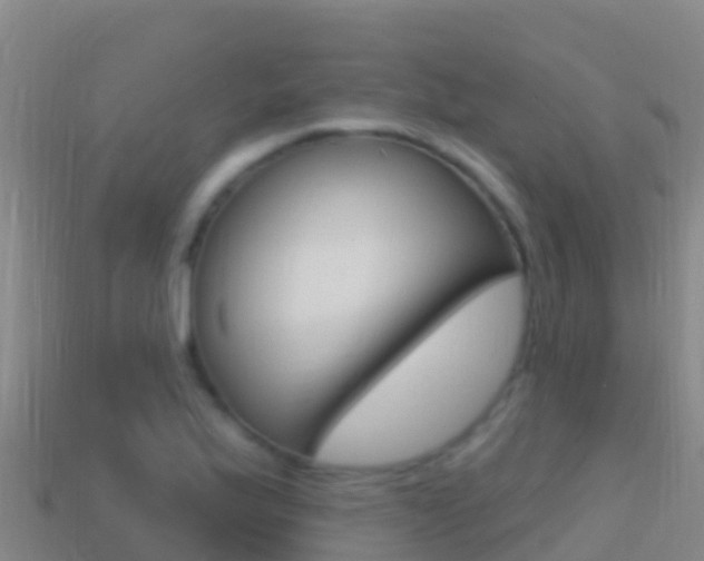 X0000114631175200910201016
