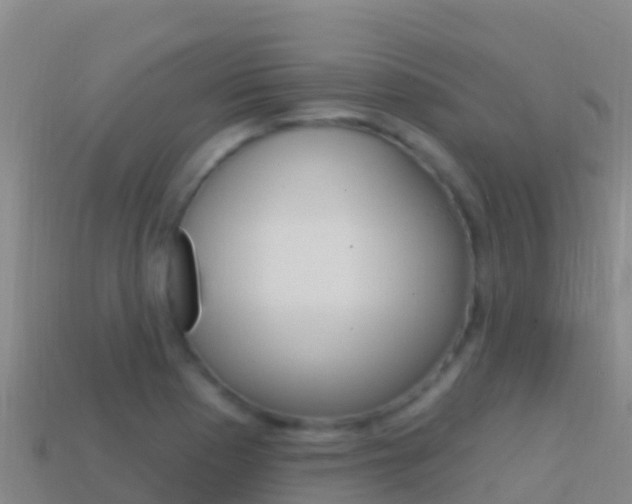 X0000114631177200910201016