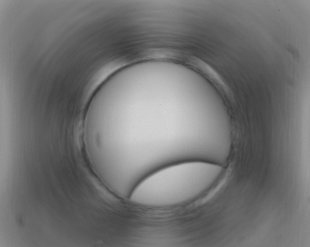 X0000114631178200910201016