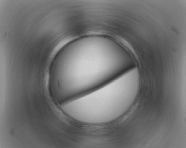 X0000114631179200910201016