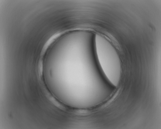 X0000114631180200910201016