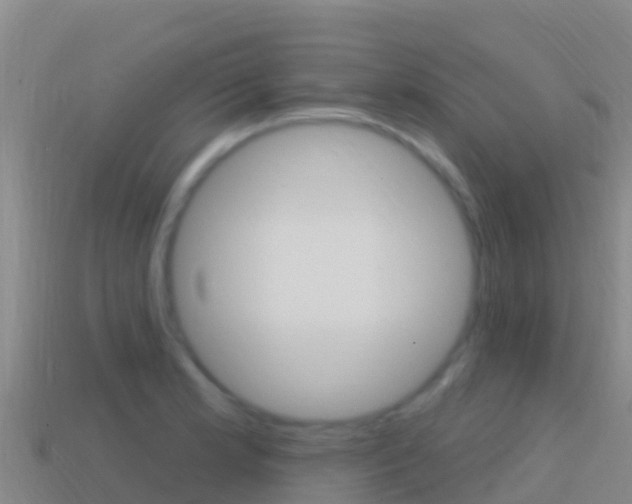 X0000114631181200910201016