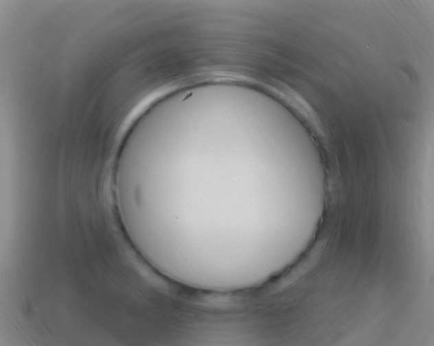 X0000114631182200910201016