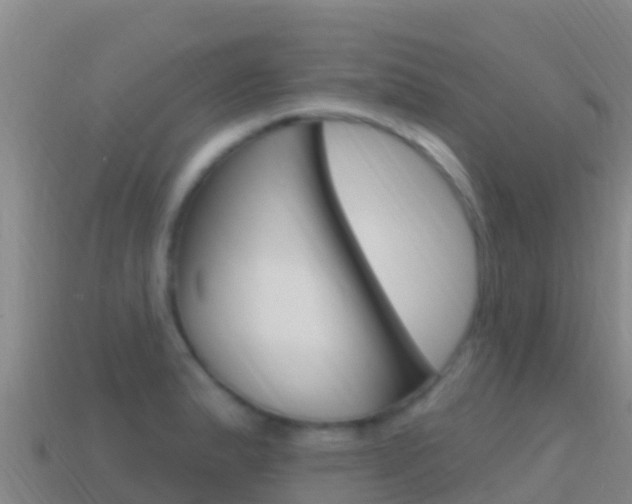 X0000114631183200910201016