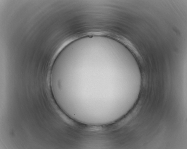 X0000114631186200910201016