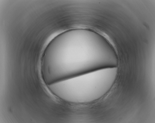 X0000114631187200910201016