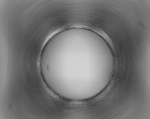 X0000114631190200910201016