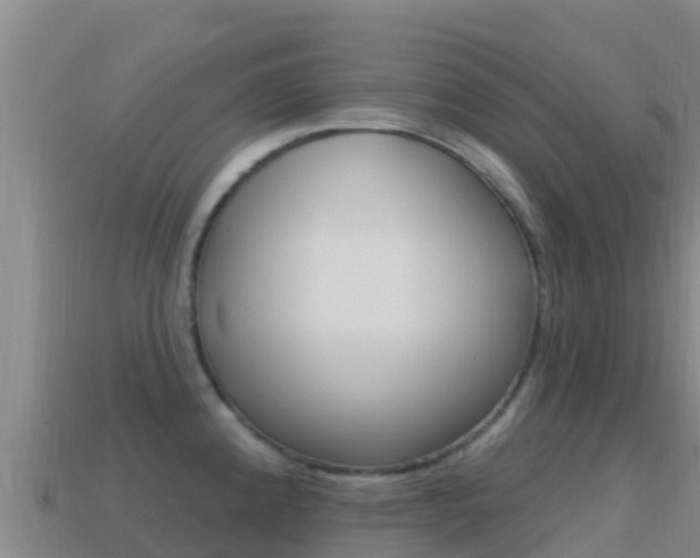 X0000114631192200910201016