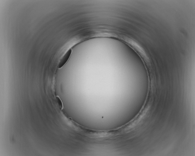 X0000114631193200910201016