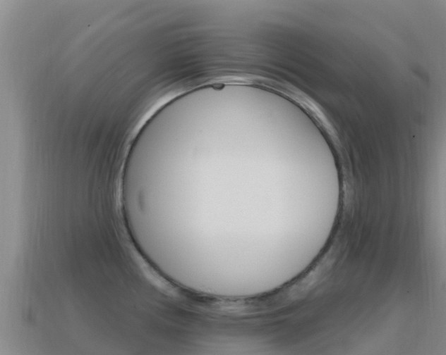 X0000114631194200910201016