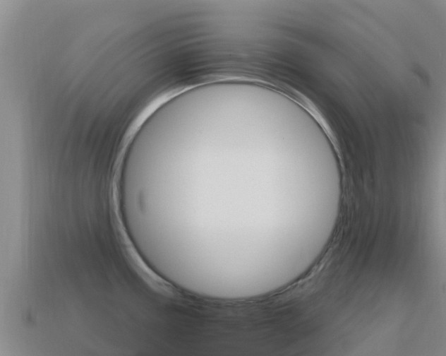 X0000114631195200910201015