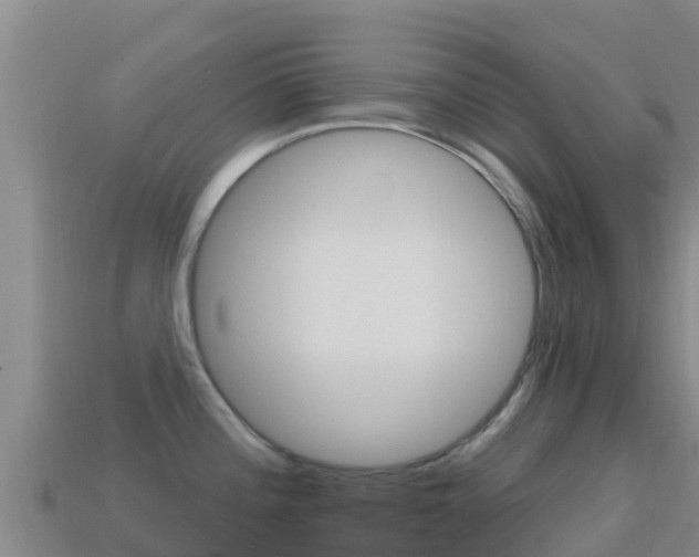 X0000114631196200910201015
